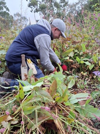 Weekly catch up with garden & propagation