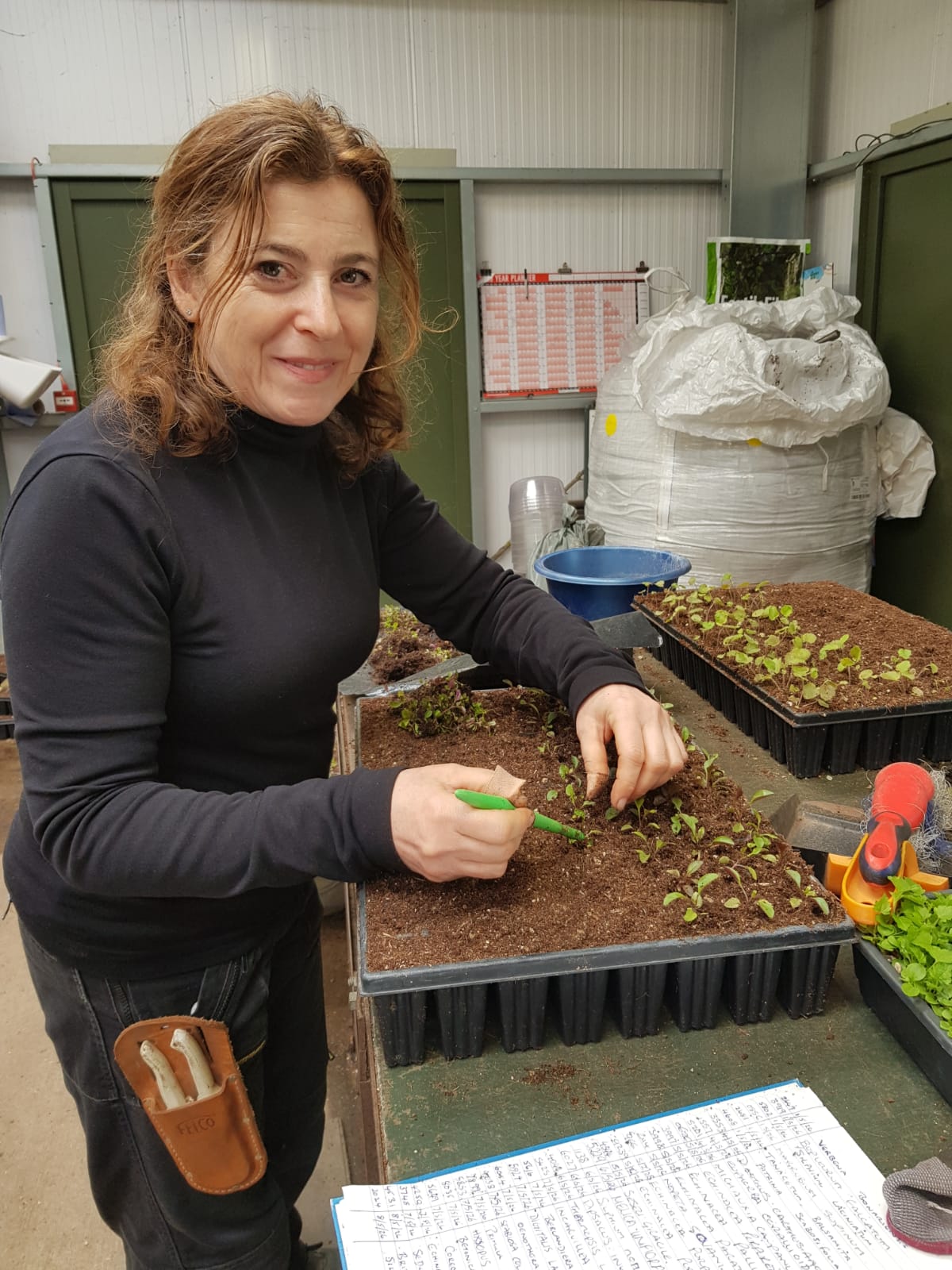 Weekly catch up with garden and propagation