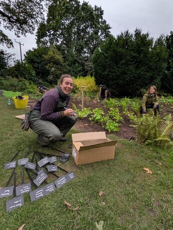 Weekly catch up with garden and propagation