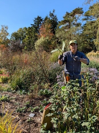 Weekly catch up with garden & propagation