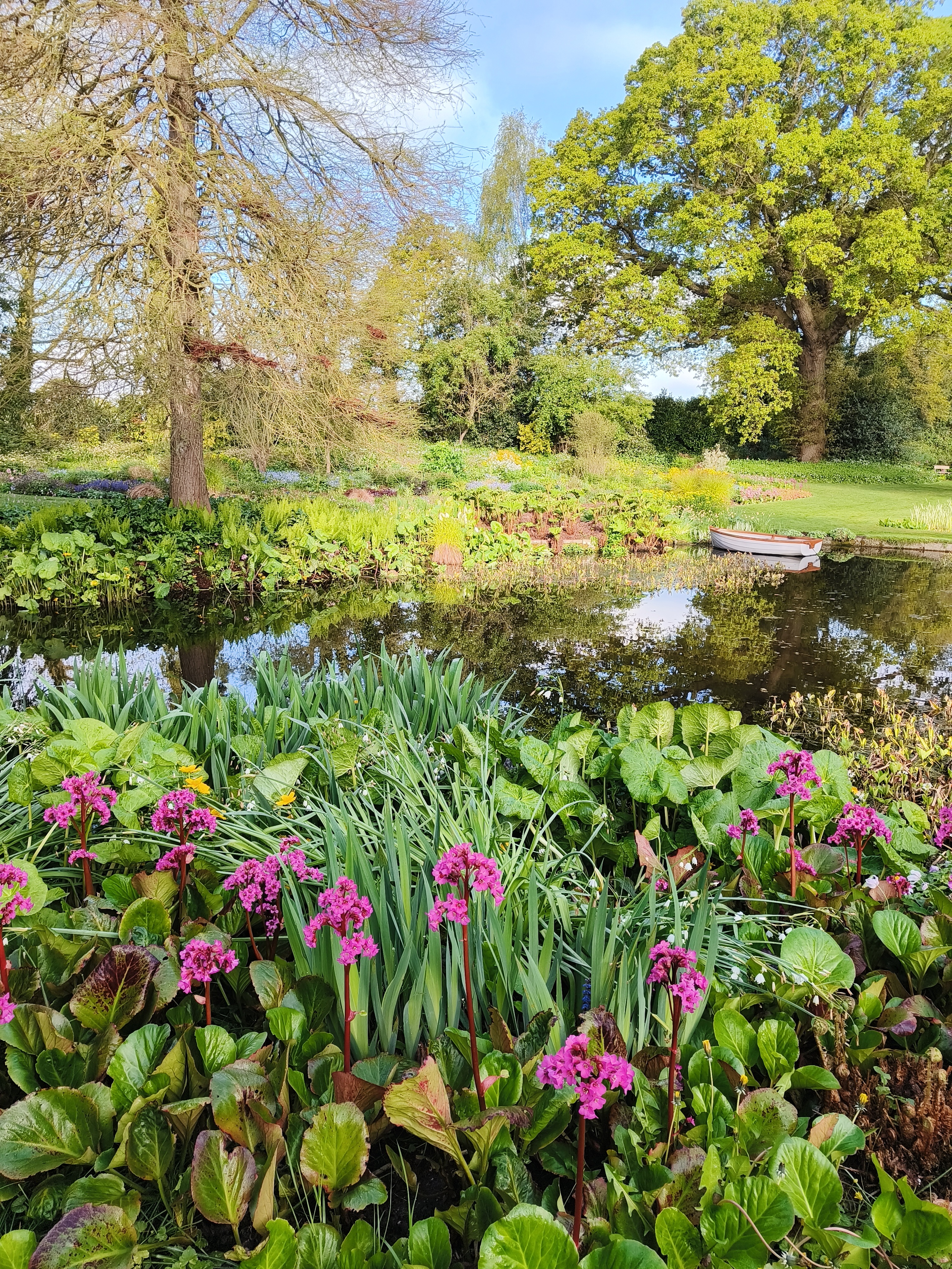 Weekly catch up with garden & propagation