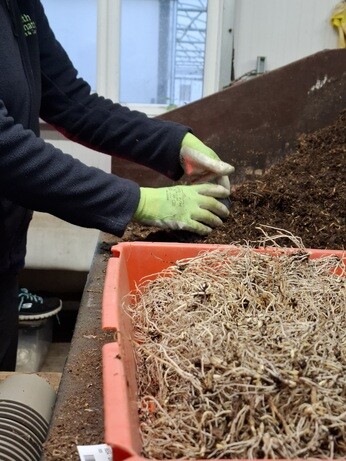 Weekly catch up with garden & propagation