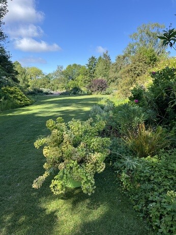 Weekly catch up with garden & propagation