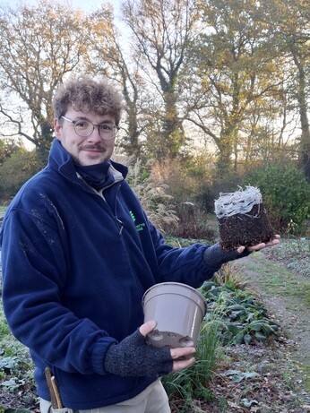 Weekly catch up with garden & propagation