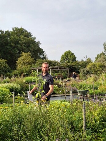 Weekly catch up with garden & propagation