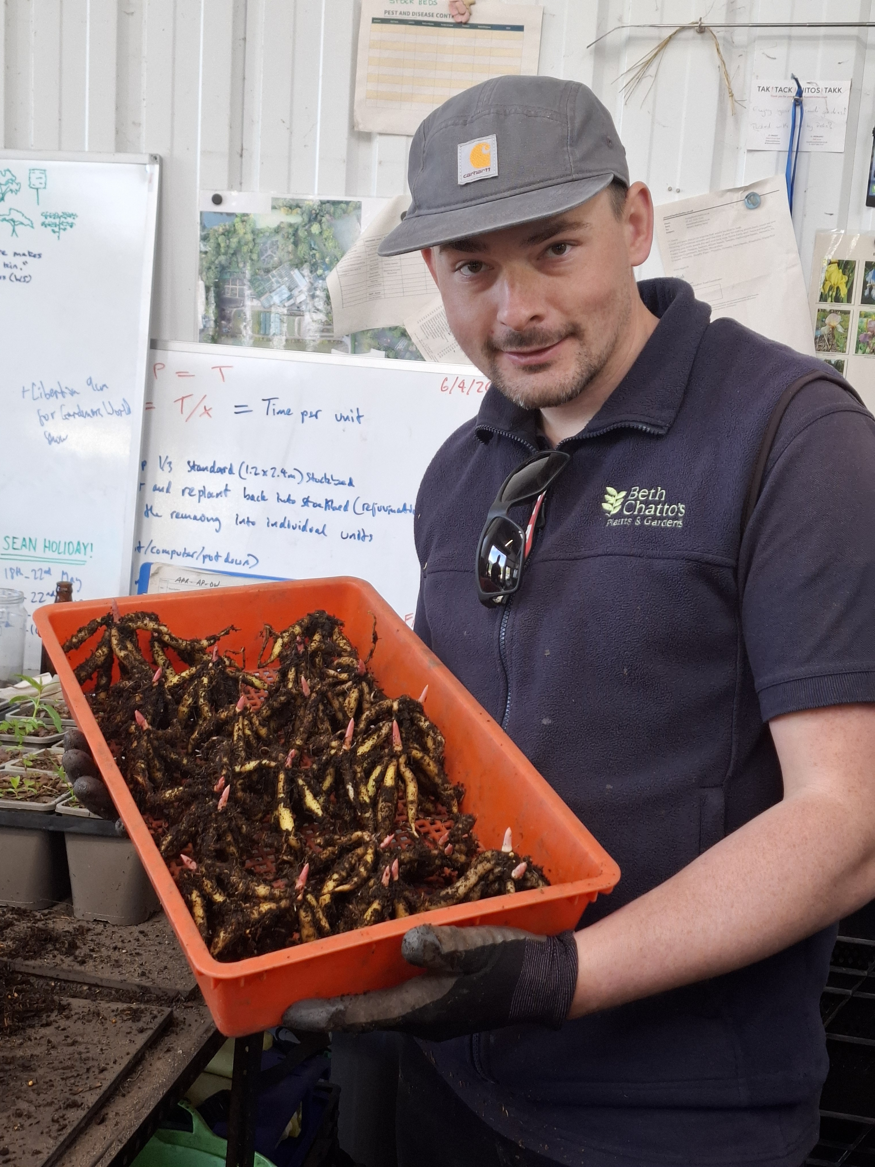 Weekly catch up with garden & propagation