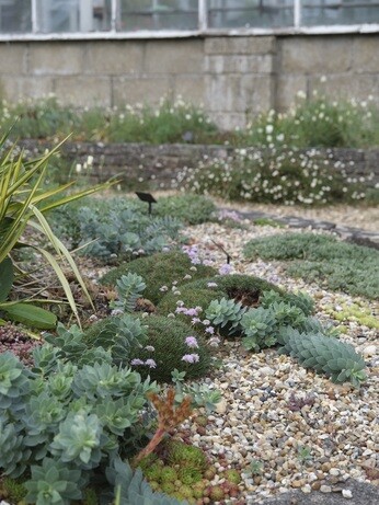 Weekly catch up with garden & propagation