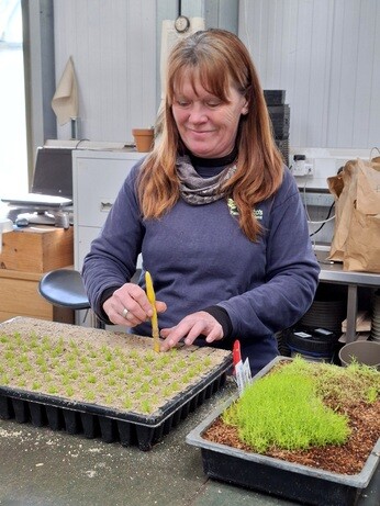 Weekly catch up with garden & propagation Weekly catch up with garden & propagation