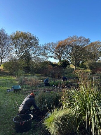 Weekly catch up with garden & propagation