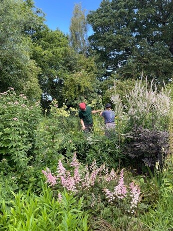 Weekly catch up with garden and propagation