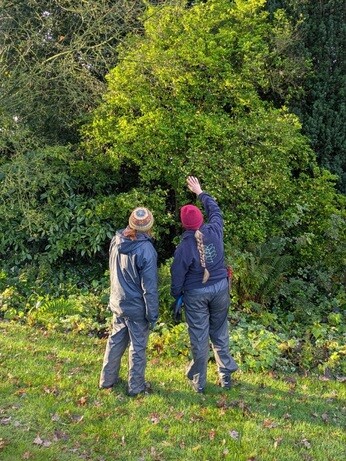 Weekly catch up with garden & propagation