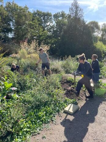 This week in the garden- mid October