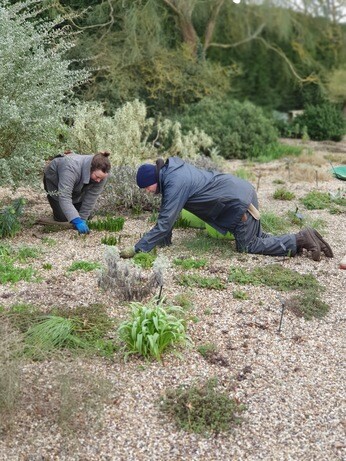 Weekly catch up with garden & propagation