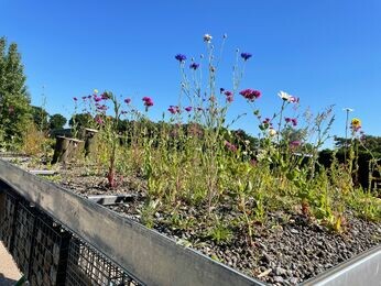 Our Green Roof Bike Shelter 