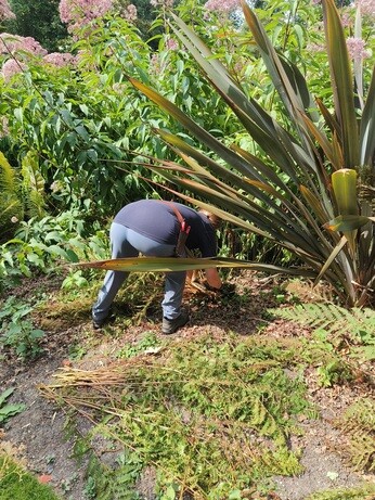 Weekly catchup with garden and propagation Weekly catchup with garden and propagation