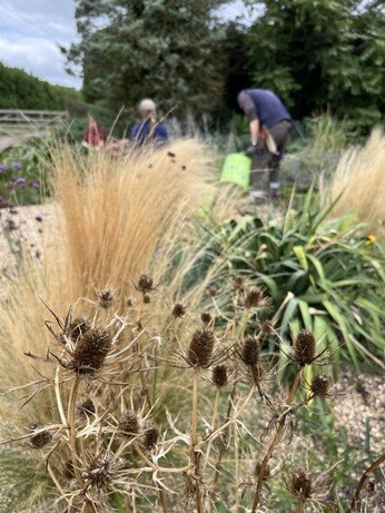 Weekly catch up with garden & propagation