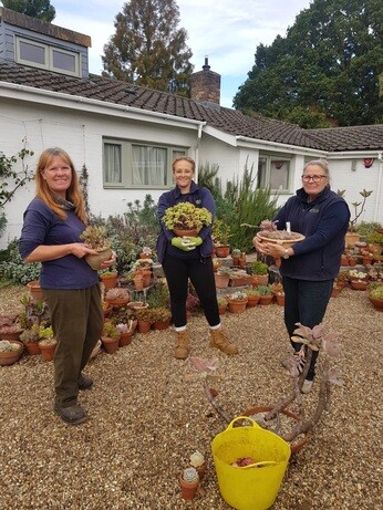 Weekly catch up with garden and propagation Weekly catch up with garden and propagation