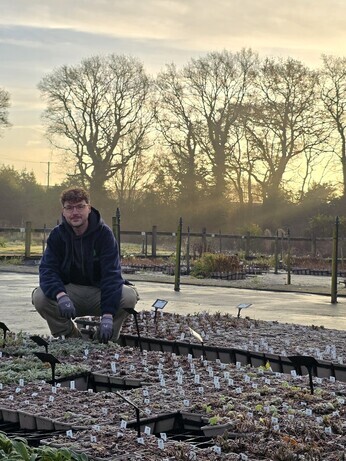 Weekly catch up with garden & propagation Weekly catch up with garden & propagation