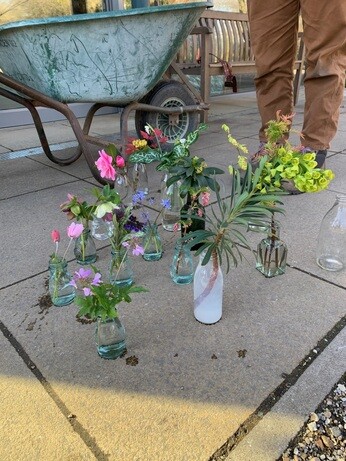 Weekly catch up with gardens & propagation 