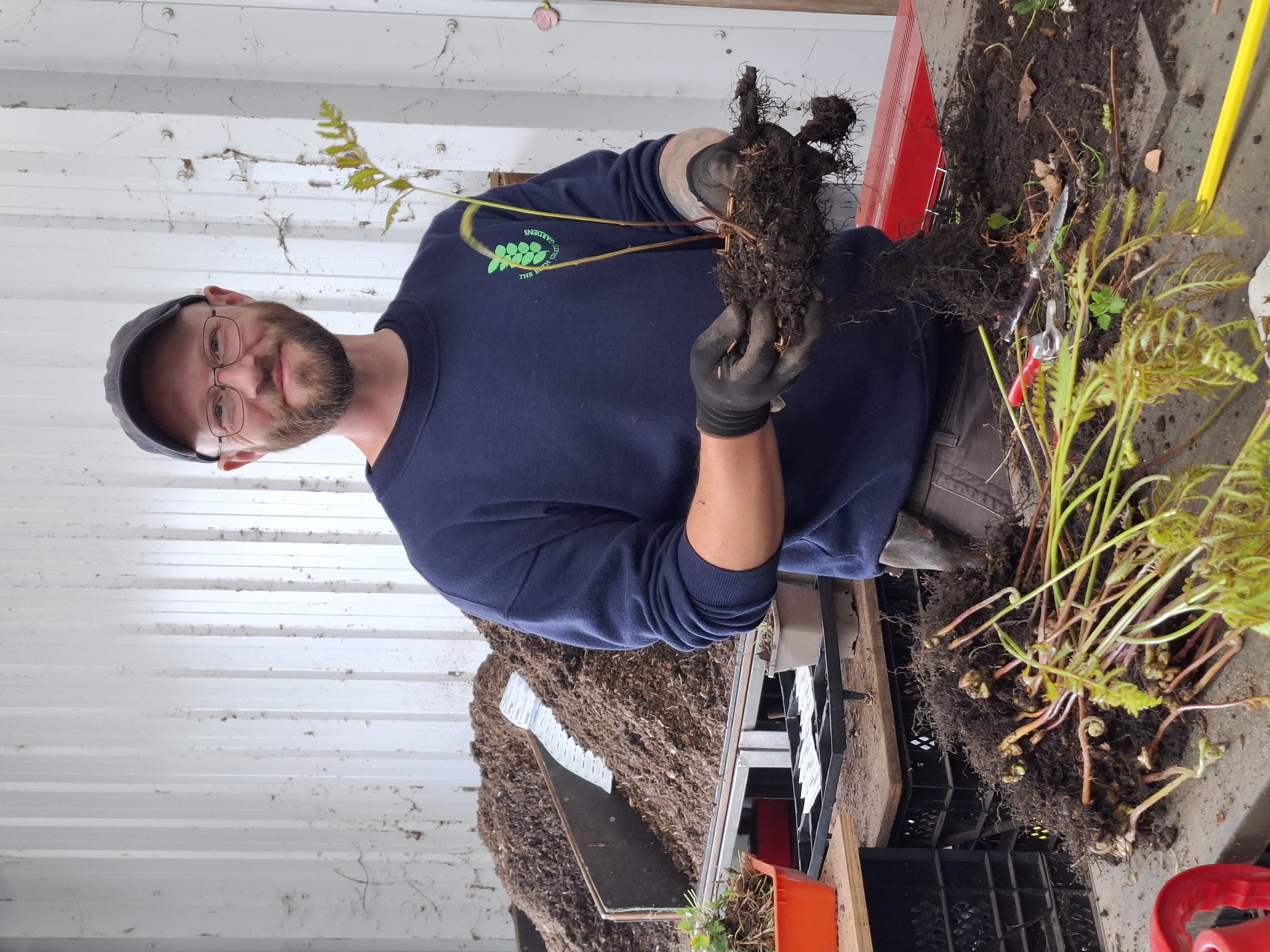 Weekly catch up with garden and propagation