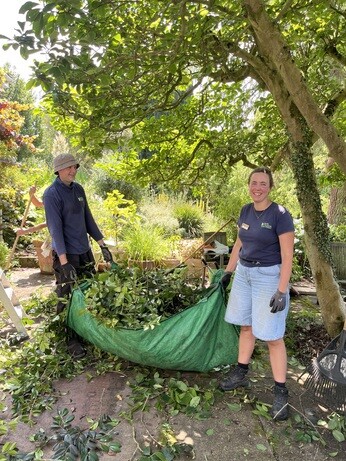 Weekly catch up with garden and propagation