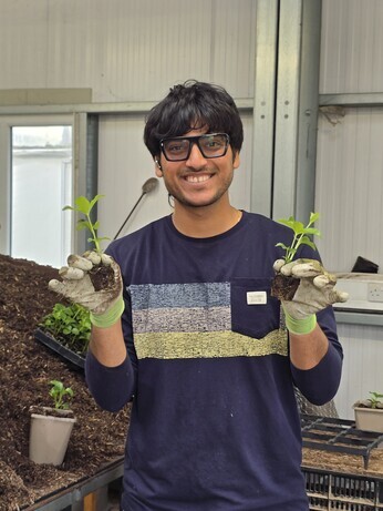 Weekly catch up with garden and propagation