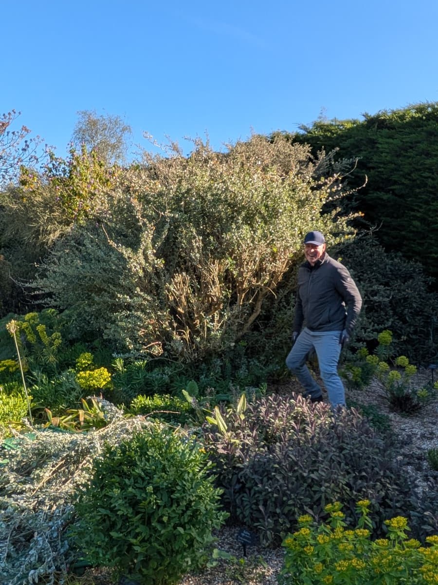 Weekly catch up with garden & propagation