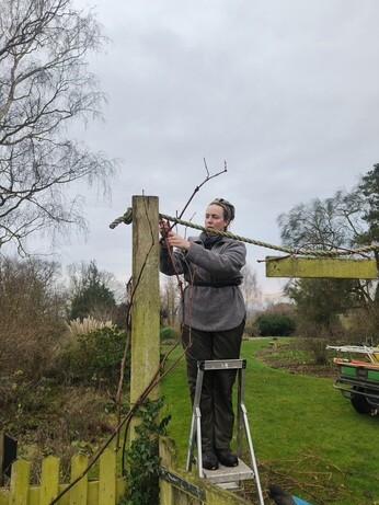 Weekly catch up with garden & propagation