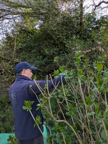 Weekly catch up with gardens & propagation