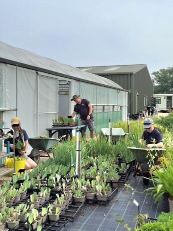 Weekly catch up with garden & propagation