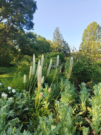 Weekly catch up with garden and propagation
