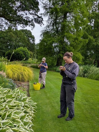 Weekly catch up with garden and propagation
