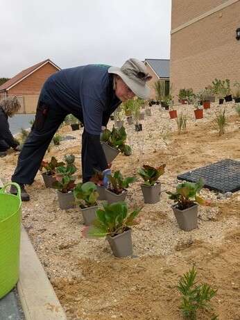 Weekly catch up with garden & propagation