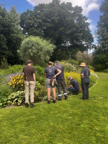 Weekly catch up with garden & propagation