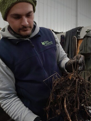 Weekly catch up with garden & propagation