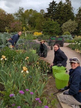 Weekly catch up with garden and propagation