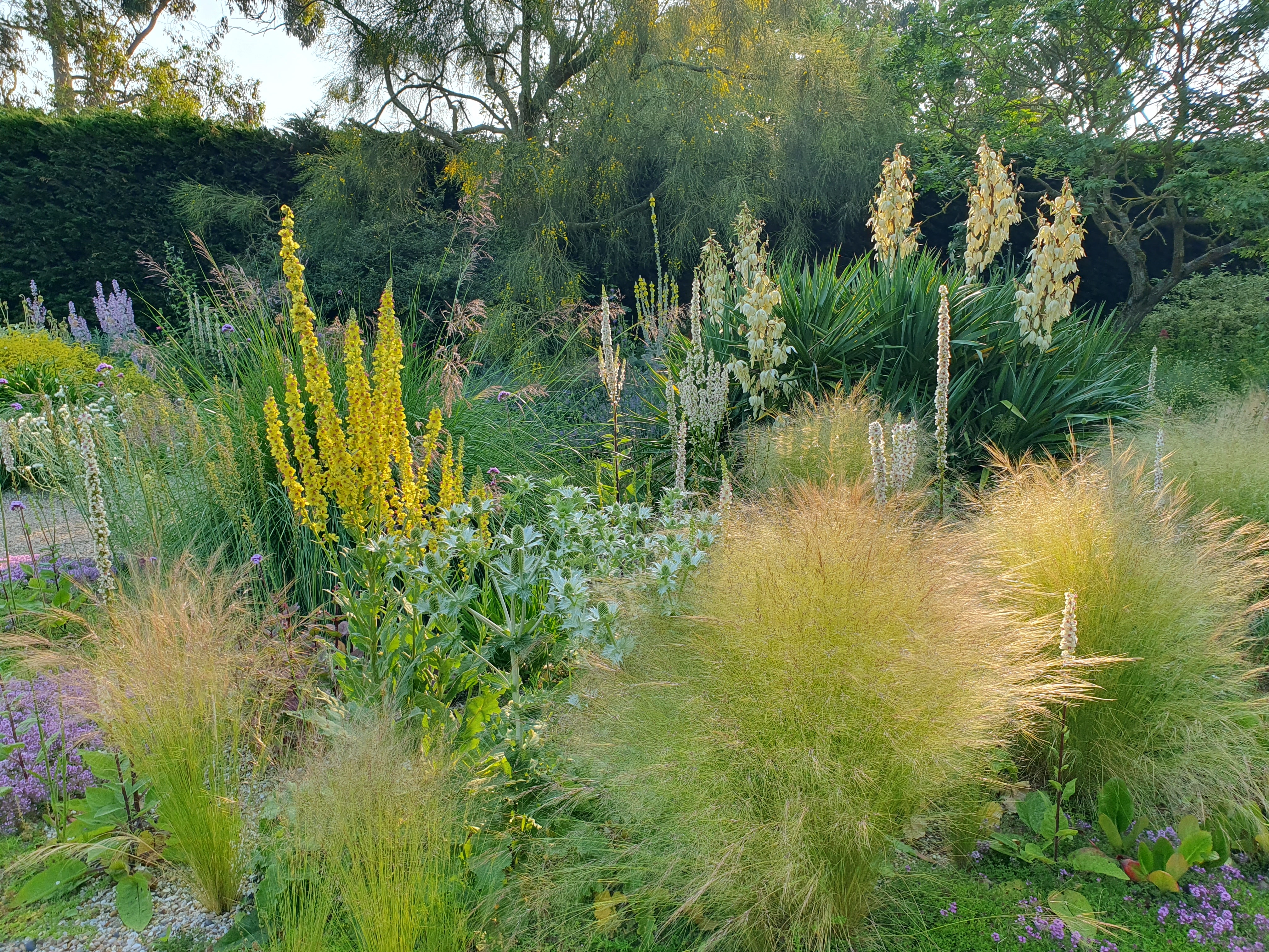 Fabulous foliage