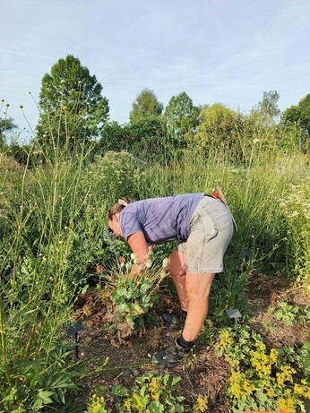 Weekly catch up with garden and propagation Weekly catch up with garden and propagation