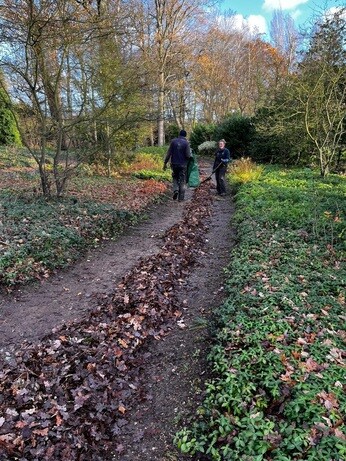 Weekly catch up with garden & propagation Weekly catch up with garden & propagation