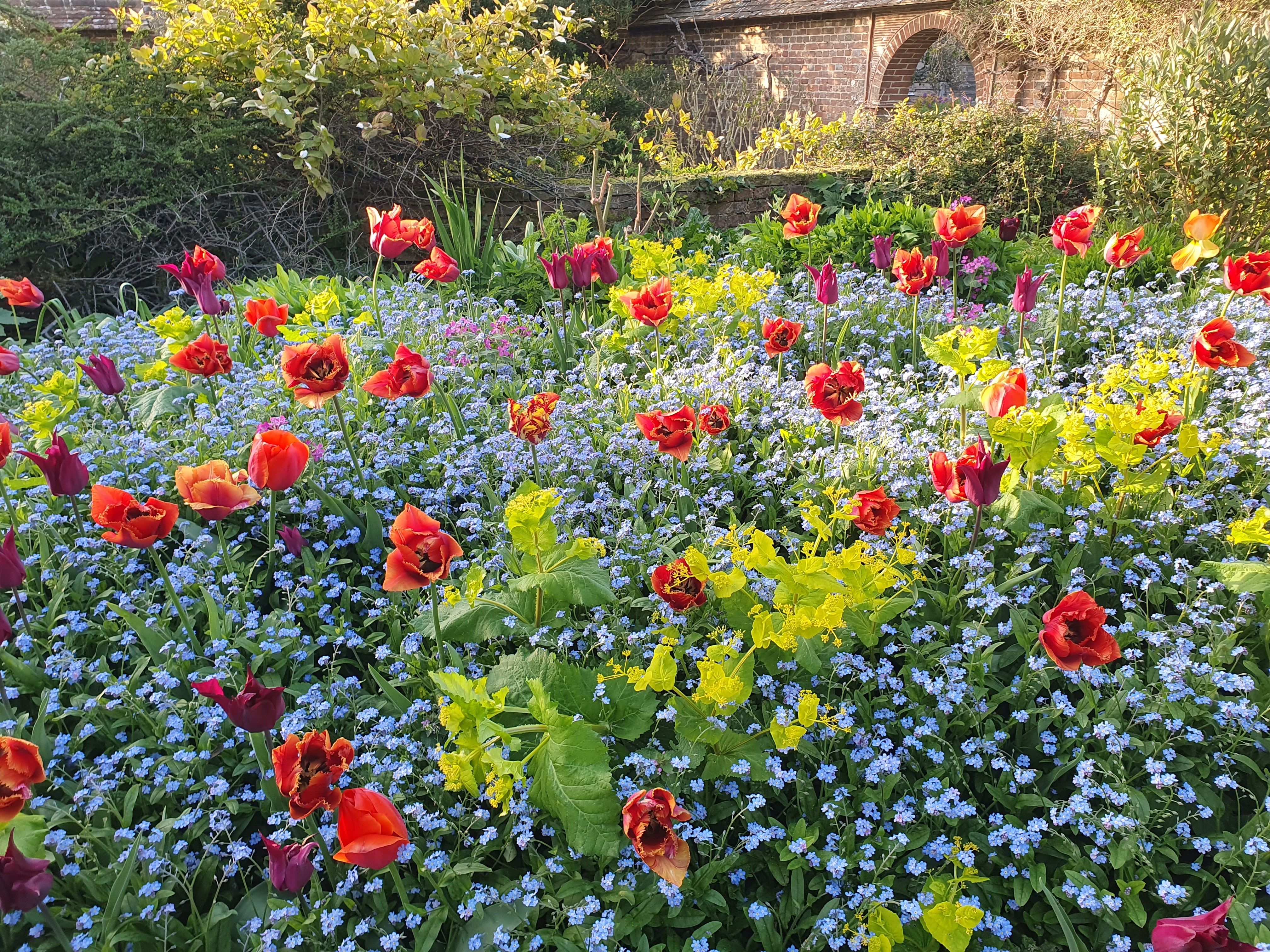 A glorious weekend at Great Dixter's Spring Plant Fair