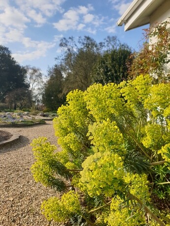 Autumn Planting: helping gardeners adapt to a changing climate