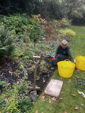 Weekly catch up with garden & propagation Weekly catch up with garden & propagation