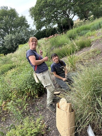 Weekly catch up with garden & propagation