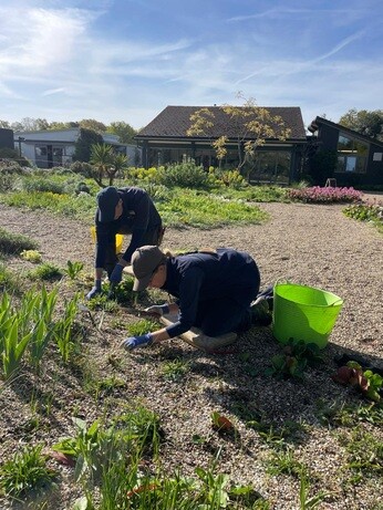 Weekly catch up with gardens & propagation