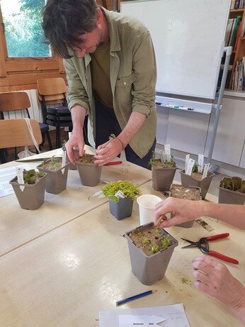 Weekly catch up with garden & propagation