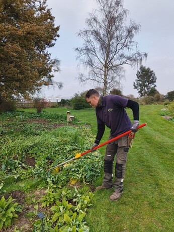 Weekly catch up with garden & propagation