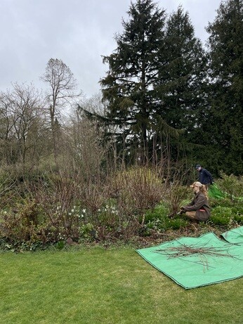 Weekly catch up with gardens & propagation Weekly catch up with gardens & propagation