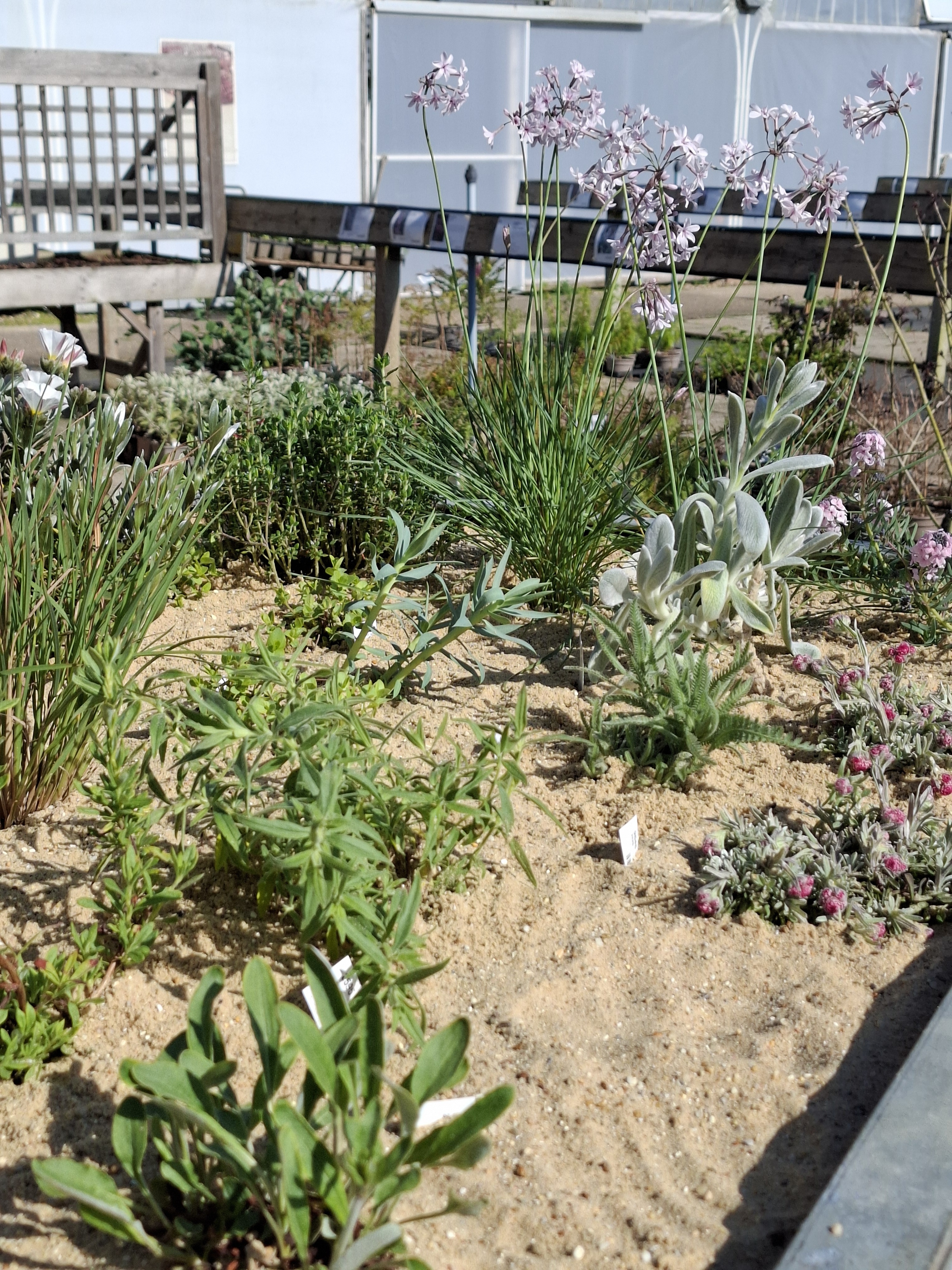 New urban planters for 2026