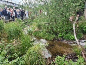The Chelsea Flower Show 2022