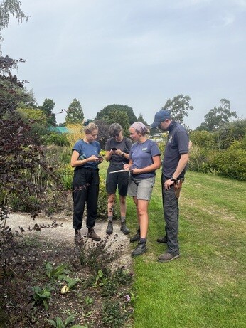 Weekly catch up with garden & propagation